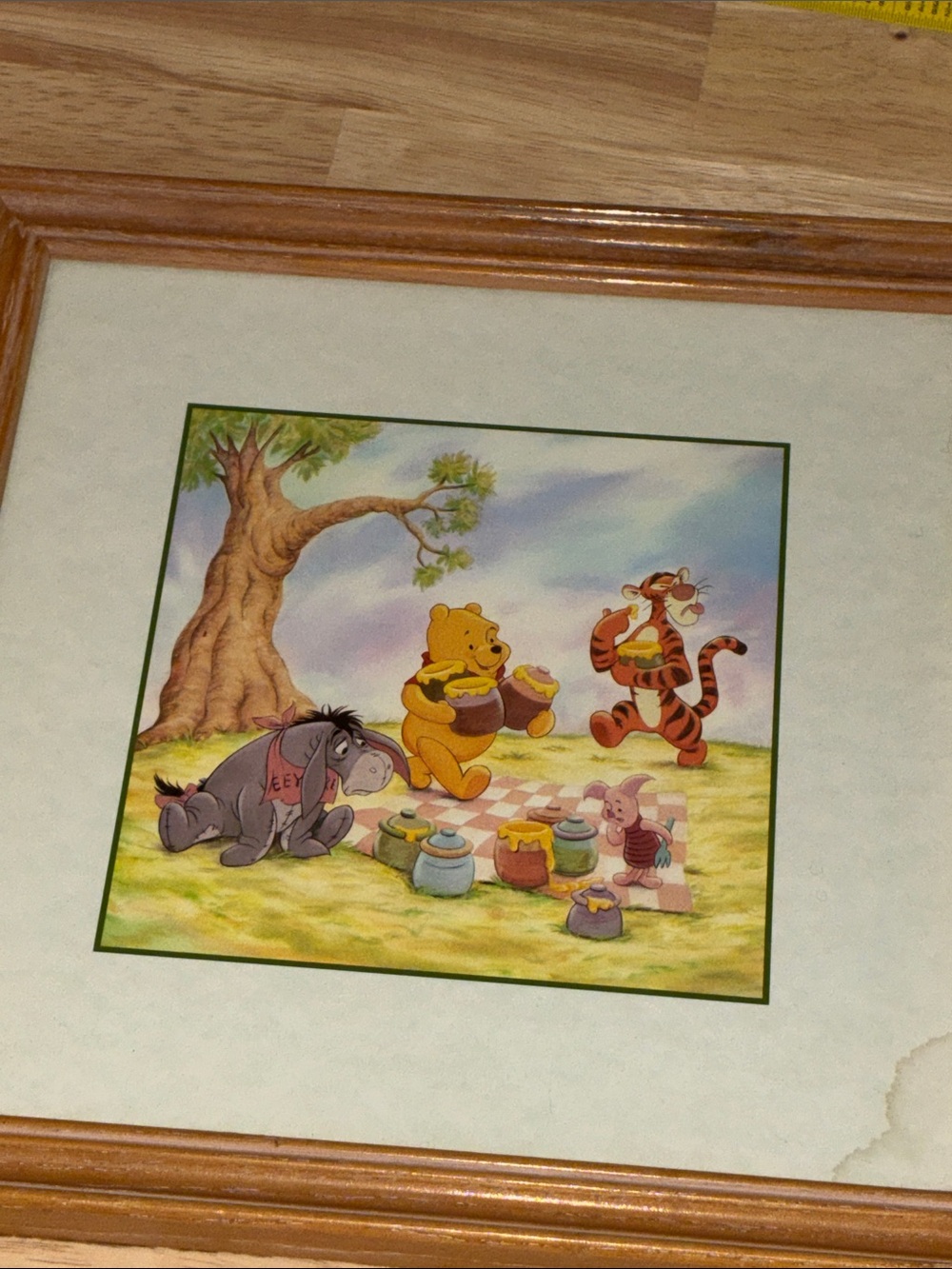 Disney Winnie the Pooh 100 acre wood Framed Print